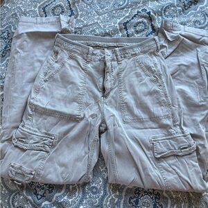 American Eagle Outfitters Light Gray Cargo Pants